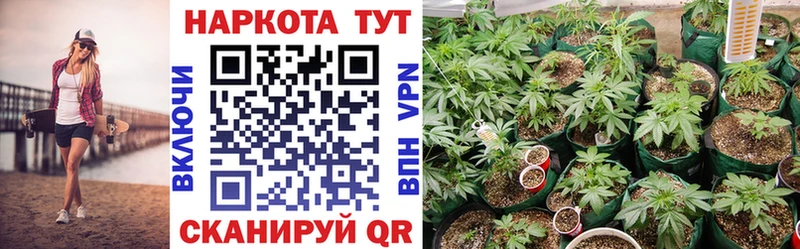 Наркотические вещества Шлиссельбург ГАШИШ Cocaine A PVP Канабис Меф