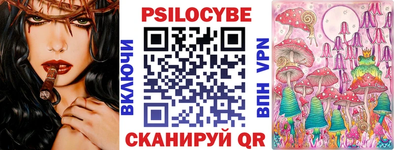 KRAKEN tor  Шлиссельбург  Псилоцибиновые грибы GOLDEN TEACHER 